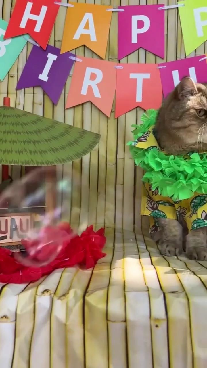 A luau for one