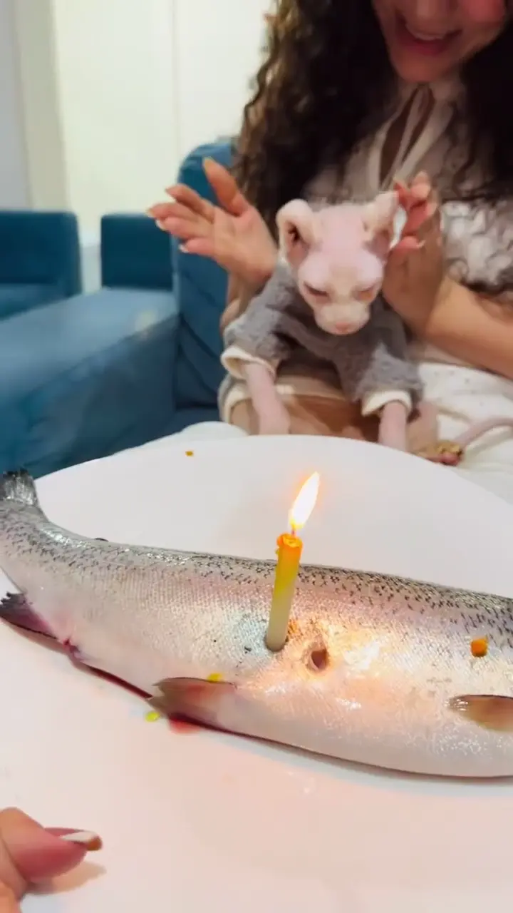 Happy birthday cat video — a whole fish with a candle in it